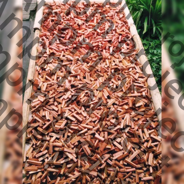 

KAYU BAJAKAH UNTUK TEH HERBAL TINGGAL SEDUH