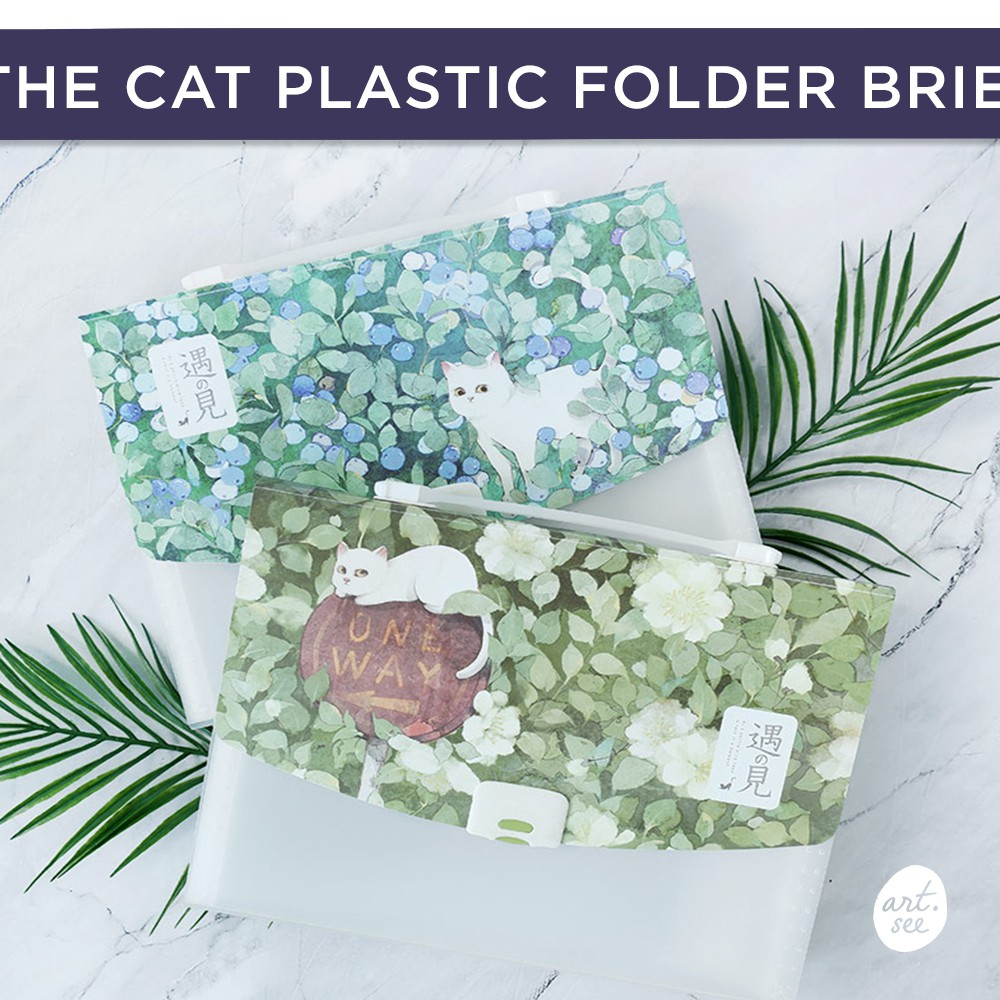 

Meet The Cat Plastic Folder Briefcase