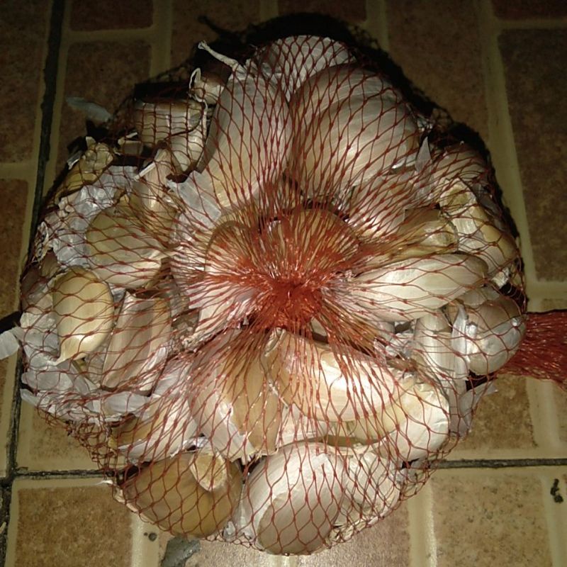 

Bawang Putih 250 gr