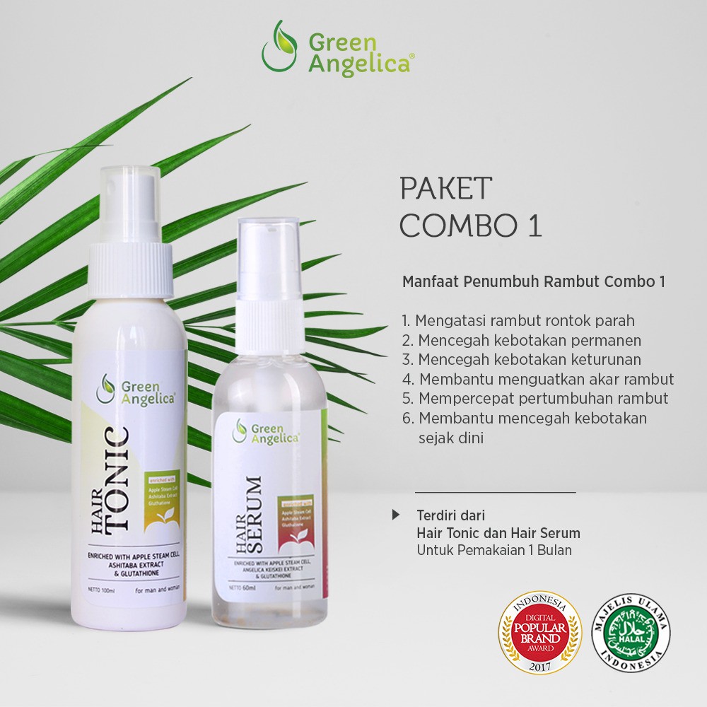 Perawatan Rambut Rontok Kering Green Angelica Combo 1