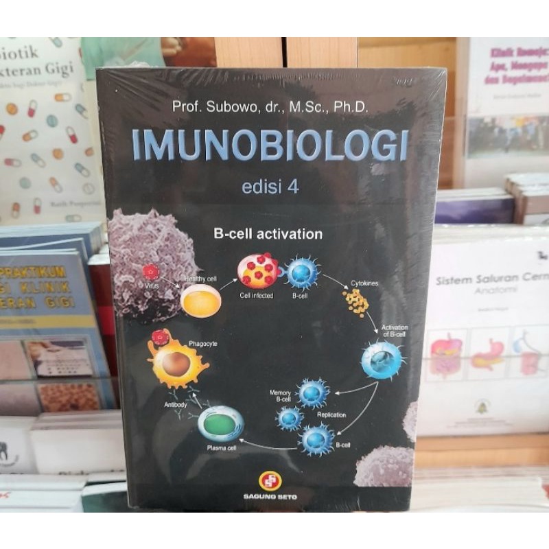 Jual Imunobiologi Edisi 4 B-Cell Activation - Subowo Buku Original ...