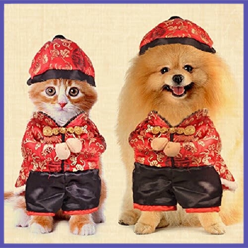 ✔ COD ✔ Baju Sincha Anjing Dan Kucing Jantan Type B / Baju Imlek Anjing Kecil