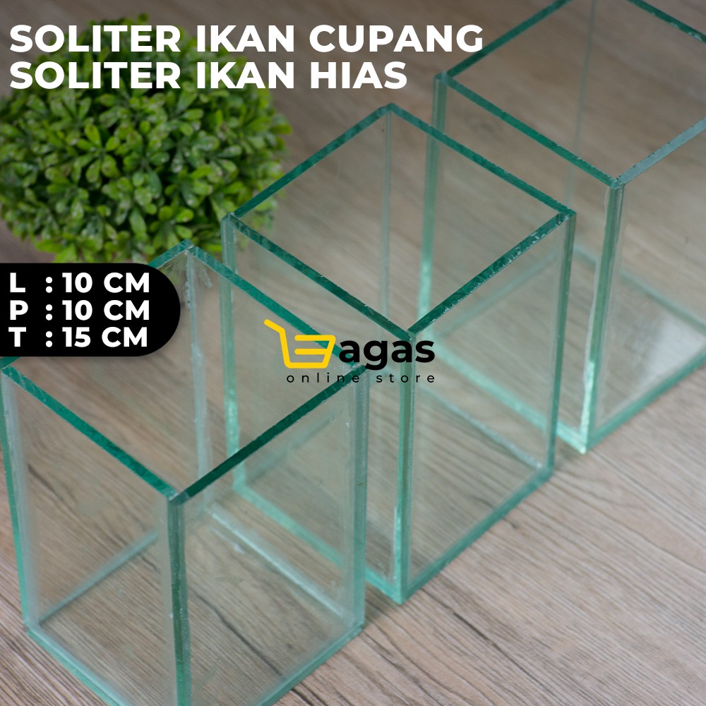 SOLITER IKAN CUPANG / SOLITER IKAN CUPANG MURAH 10X10X15 CM