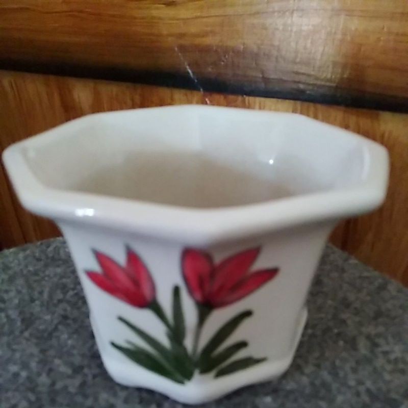 pot keramik bonsai mame