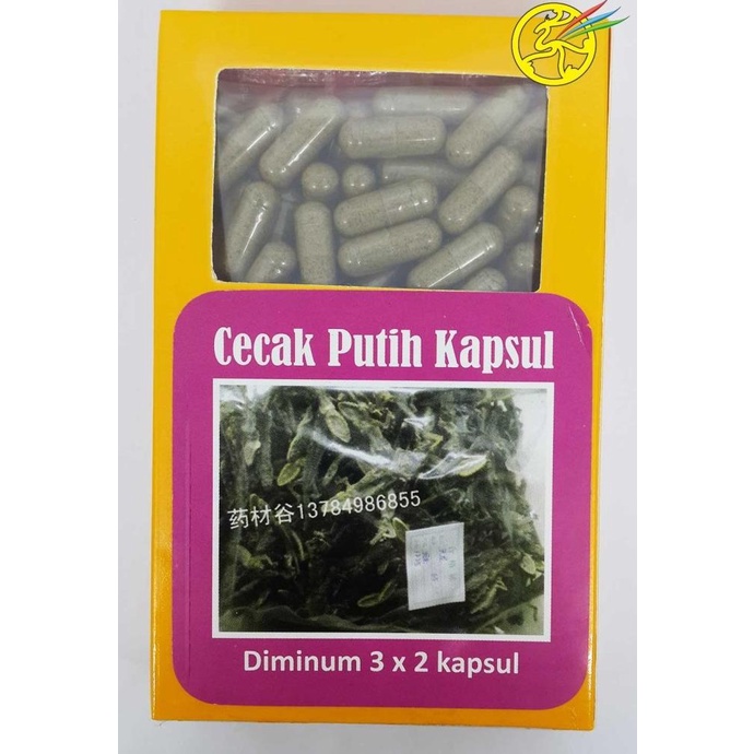 '+'+'+'+] Obat Herbal Cecak Putih Kapsul - Cicak Cecek Cicek Capsule Tumor