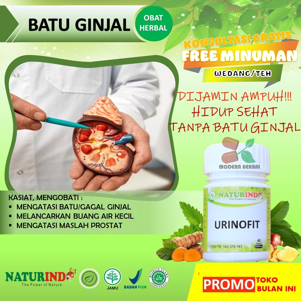 Jual Obat Herbal Batu Ginjal Bengkak Sakit Pinggang Kronis Urinofit ...