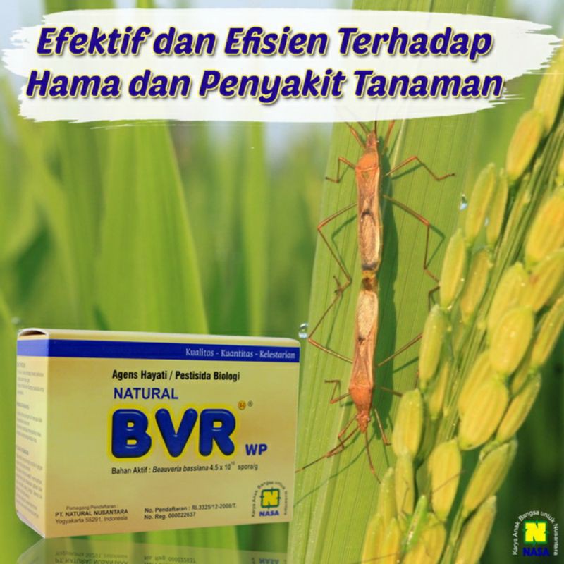 Pestisida organik NASA BVR