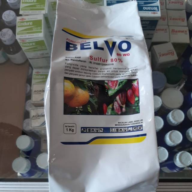 Fungisida Belvo 80WG