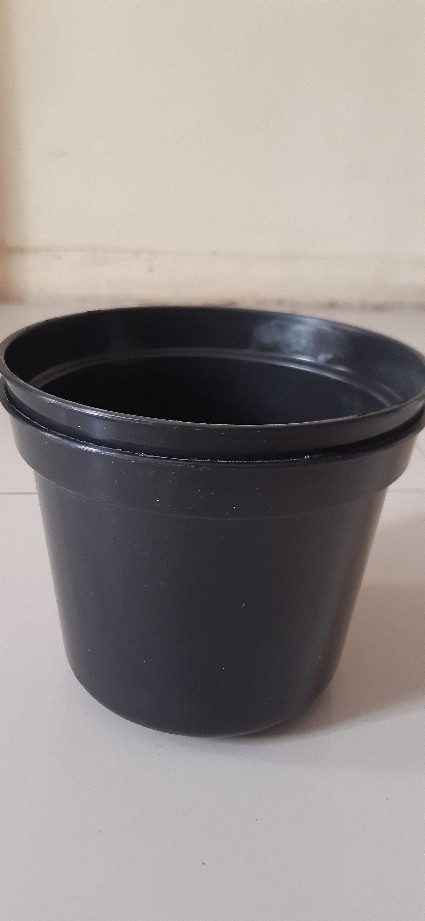 Pot Bunga Tanaman 15 Cm Hitam Merek Made Indonesia Free Bubble Ketentuan Berlaku