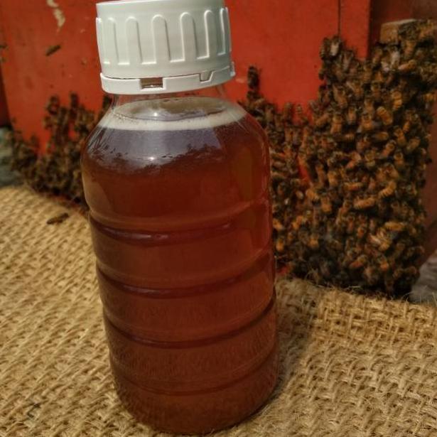 

➝ Madu Murni Madu Pollen+Royal Jelly ㅛ