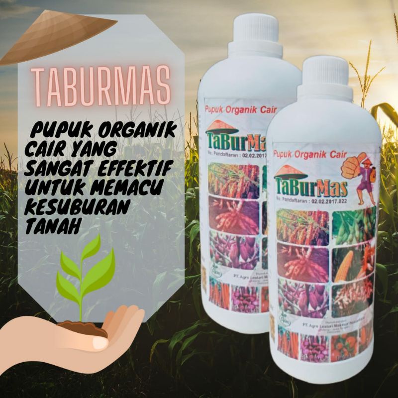 Pupuk Untuk Pisang Agar Cepat Berbuah, Pupuk Organik Cair Untuk Pisang Agar Cepat Berbuah