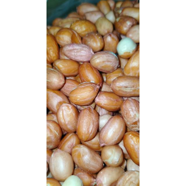 

Kacang tanah 500 gr