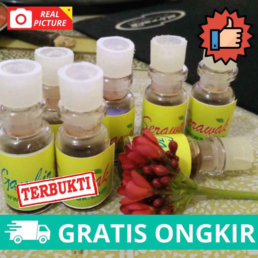 Gambir Obat cair Borneo Shi-am Siam Kalimantan Original Tahan Lama Batu Padat Keping Serawak Sarawak