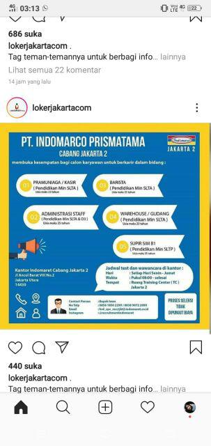 Handle Pintu Rumah / Gagang Pintu /tarikan Pintu Model Cobra 33cm