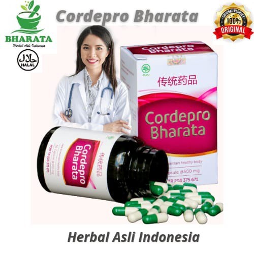 Obat Herbal Batu Ginjal-Gagal Ginjal Kronis Akut Cordepro Bharata