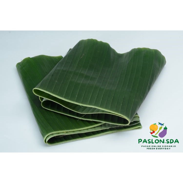 

DAUN PISANG 1 IKAT