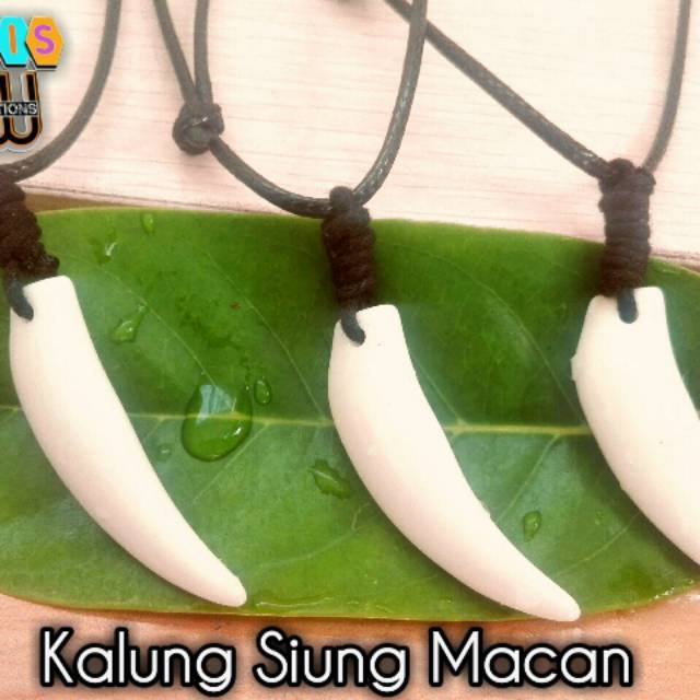 Kalung siung macan