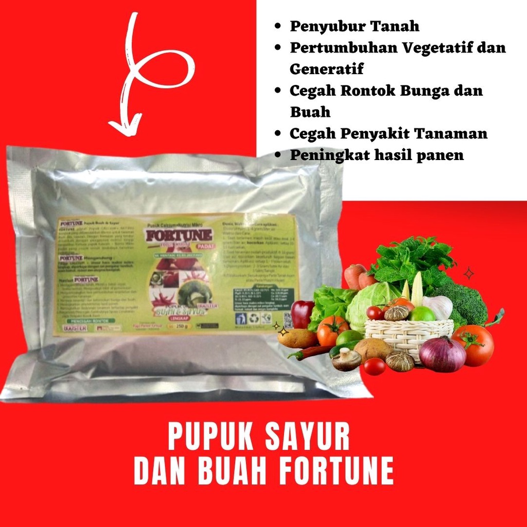Nutrisi Untuk Tanaman Cabai Fortune, Pupuk Penyubur Tanaman Cabai, Pupuk Terbaik Untuk Cabe Rawit