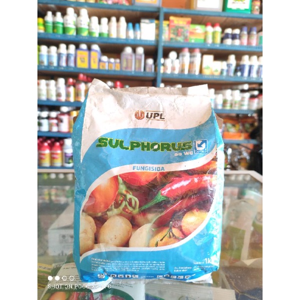Fungisida Sulphorus 80 wg 1 kg