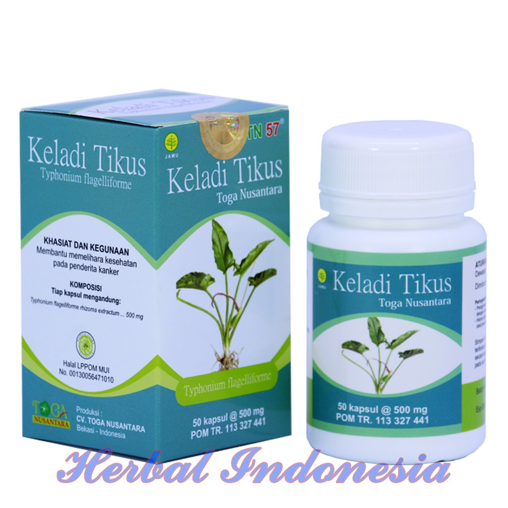 Herbal Keladi Tikus Toga Nusantara Kanker