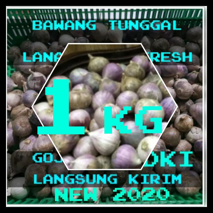 

Ind Bawang Putih Tunggal / Bawang Lanang 1000 gram MURAH Kode 989