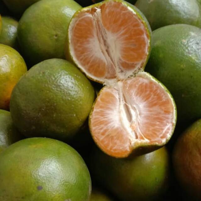 

Jeruk madu