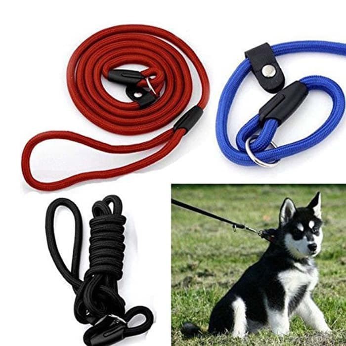 BESAR Slip Lead Cesar Milan Tali Tuntun Anjing Nylon Dog Leash