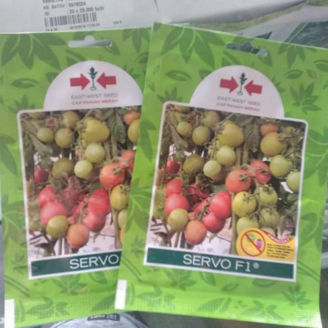 Benih Tomat SERVO F1 isi 150 biji