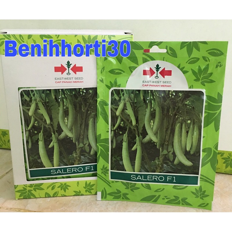 Benih Terong Hijau Salero F1 isi 400 butir