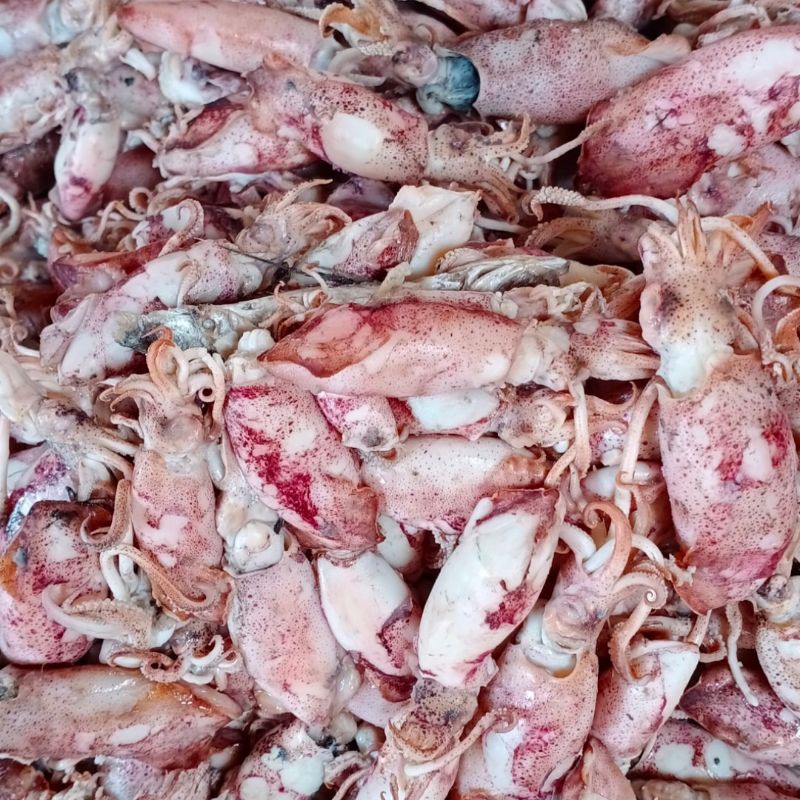 

Ikan asin cumi / cumi rebus kering1kg.