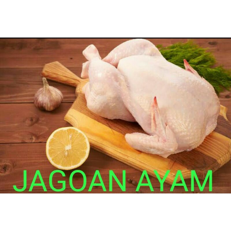 

AYAM UTUH/KARKAS 07-08 ONS(PROMO)