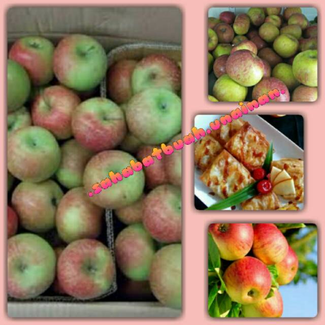 

Apel malang merah#buah#vitamin C