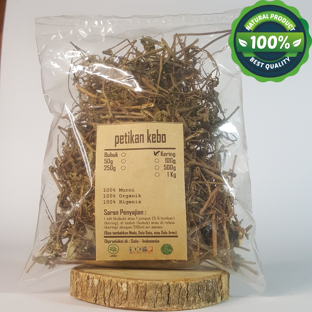 

PETIKAN KEBO KERING 100 GRAM - Euphorbia Hirta - MURNI - JSR - R