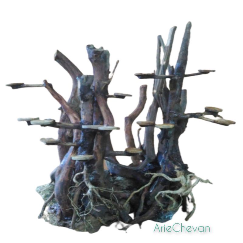 pohon bonsai hardscape jungle untuk mendekorasi aquascape aquarium