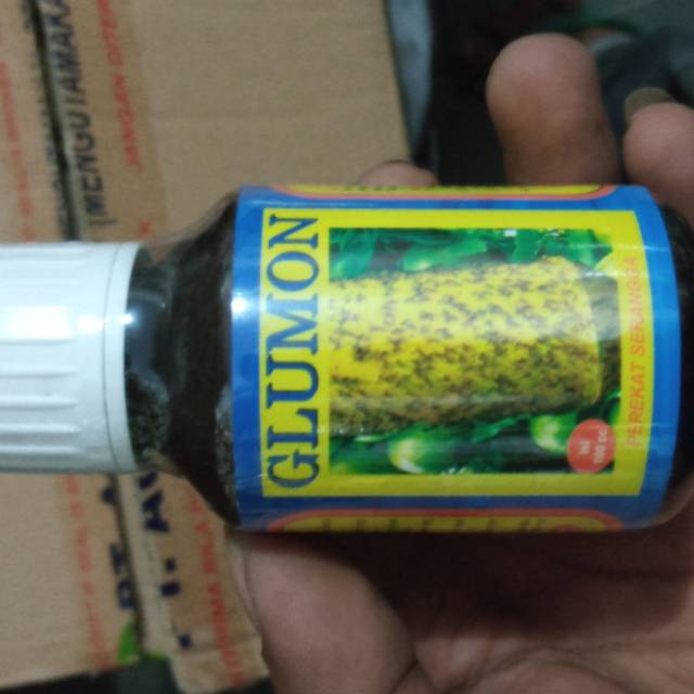 

lem perekat lalat buah GLUMON 100cc
