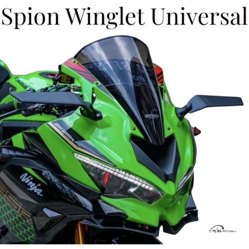 SPION WINGLET STEALTH MODEL RIZOMA F22 R ZX25R NINJA 250FI KARBU CBR