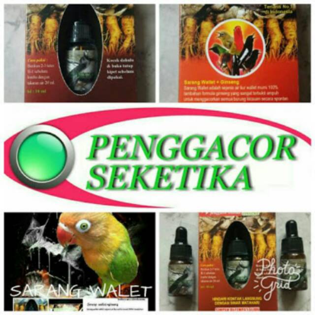 Toko Semar Vitamin Penggacor Burung Sarang Walet Original