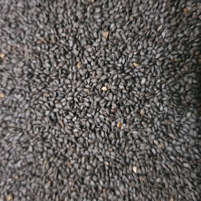

Roxx.ea - .ea - .ea - Basil Seed / Biji Selasih Import Per 1 Kg Repack / Grosir