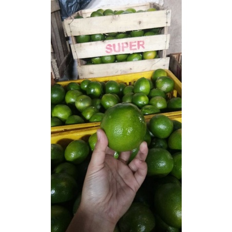 

Lemon Hijau California Supet 1Kg