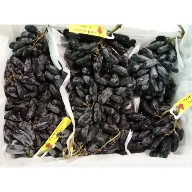 SUPPLIER BUAH IMPORT | Anggur Moondrop Seedless (Tanpa Biji)