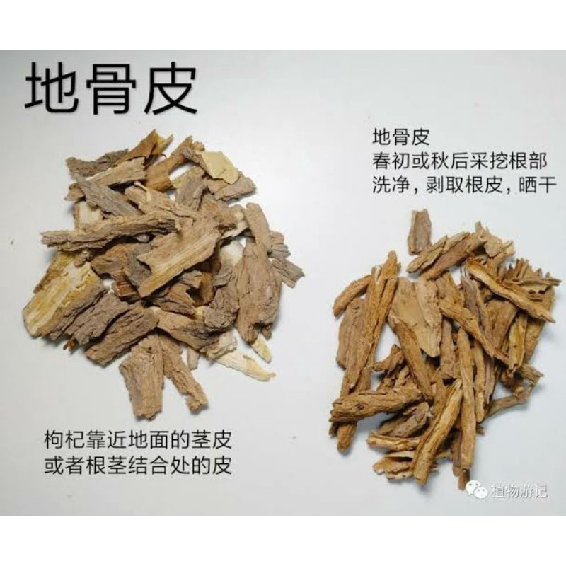 

100gr 地骨皮 Di Gu Pi Lycium Chinense Mill