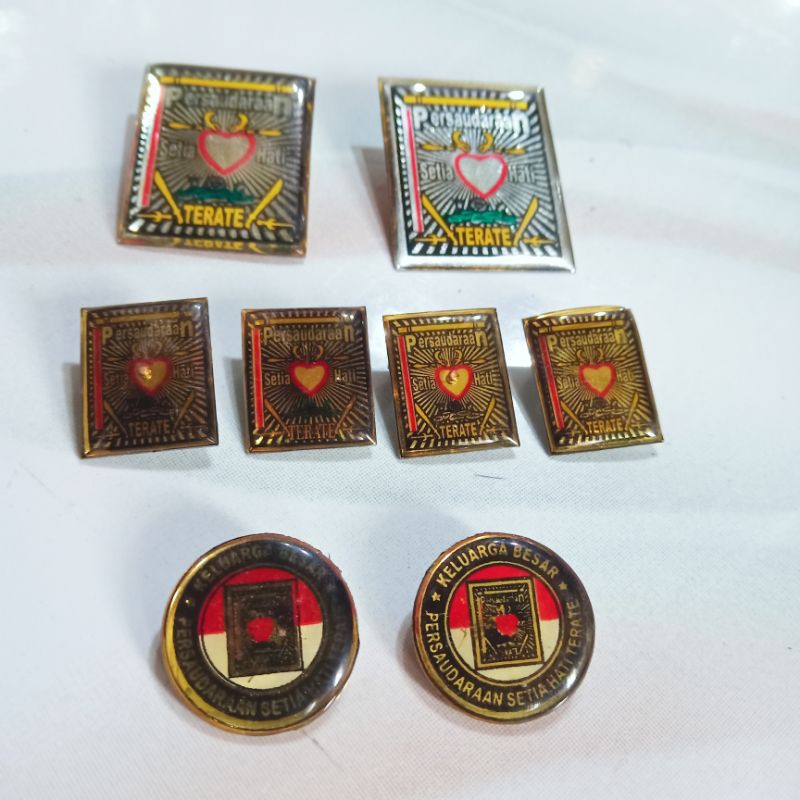 PIN PSHT | bros pin logo terate