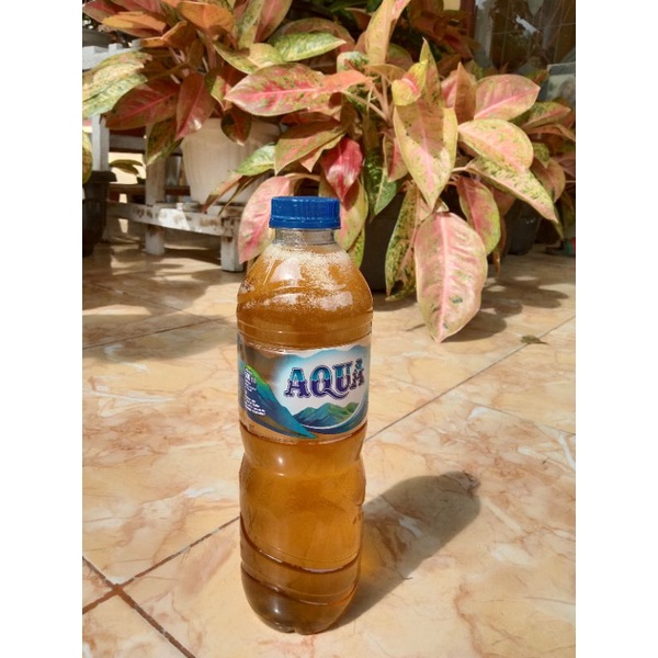 

madu hutan asli 100% asli