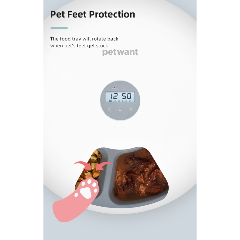 PETWANT F6 Automatic Cat Dog Smart Feeder Tempat Makanan Hewan Otomatis