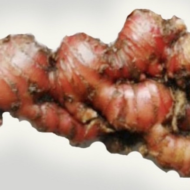 

Jahe Merah Organik Per Kg / Organic Red Ginger