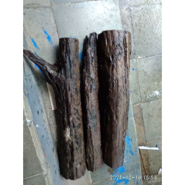 Akar Sonokeling Bulat