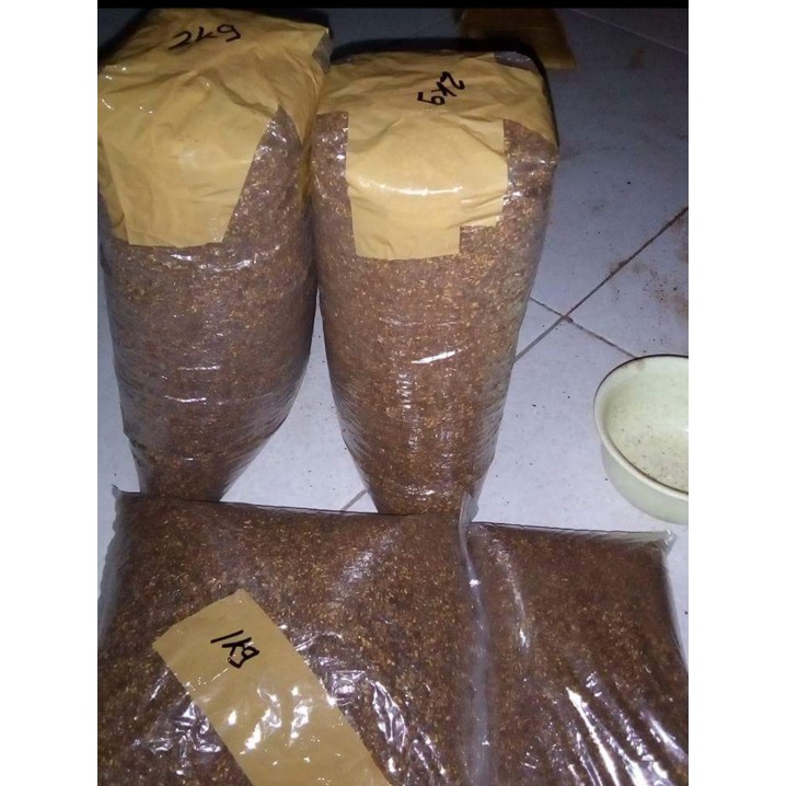 Jual 1 Ons Benih Biji Kayu Pohon Jabon Merah Samama   /Bibit/Binih
