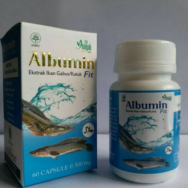 ALBUMIN FIT 60 Kapsul Ekstrak Ikan Gabus Cepat Sembuh PASCA OPERASI / Ekstrak Ikan Kutuk