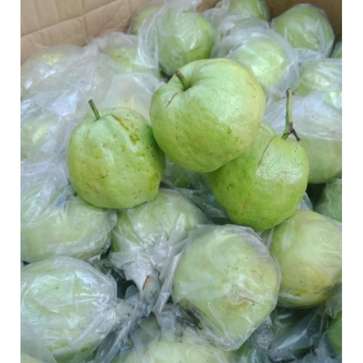 

JAMBU KRISTAL NON BIJI(1 PCS)