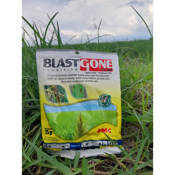 Fungisida Blastgone 75WP Blasgone Kemasan 25gr Blast Gone Blas gone
